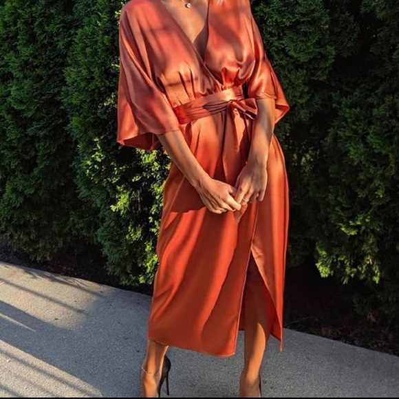 ARITZIA (Babaton) DRESS - Picture 2 of 4